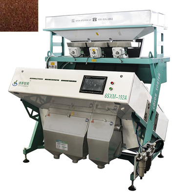 IOT RGB Sea Color Sorter Machine Selezionatore di colori per anacardi 3 scivoli