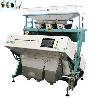Multi core CCD 3 Chute Color Sorter per aglio peperoncino