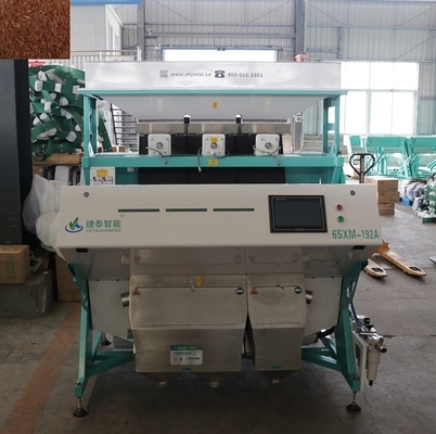 IOT RGB Sea Color Sorter Machine Selezionatore di colori per anacardi 3 scivoli