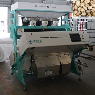 Selezionatrice di colori per semi IOT ad alta precisione per lo smistamento di noci pecan