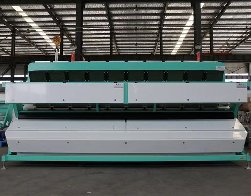 Selezionatrice di semi di zucca CCD Nuts a colori